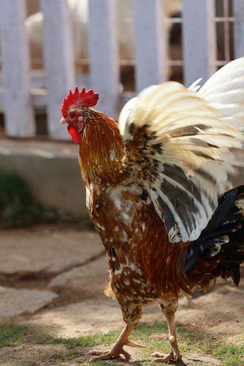 Conseil en alimentation et soins
